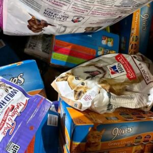 Hill's Science Diet Dog Food Wholesale Pallet - Image 3